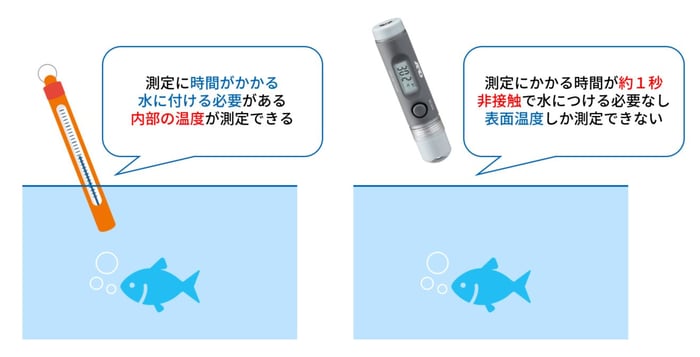 釣り